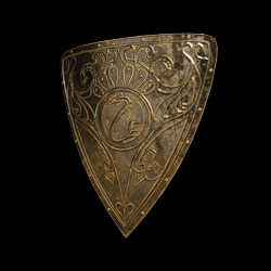 Brass Shield 