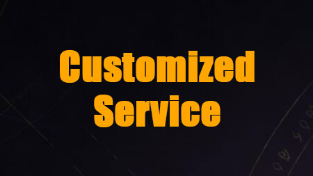 Special Modded Service
