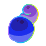 5 × Hyper Shuca Berry