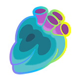 5 × Hyper Persim Berry