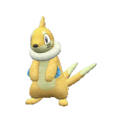 #051 - Buizel
