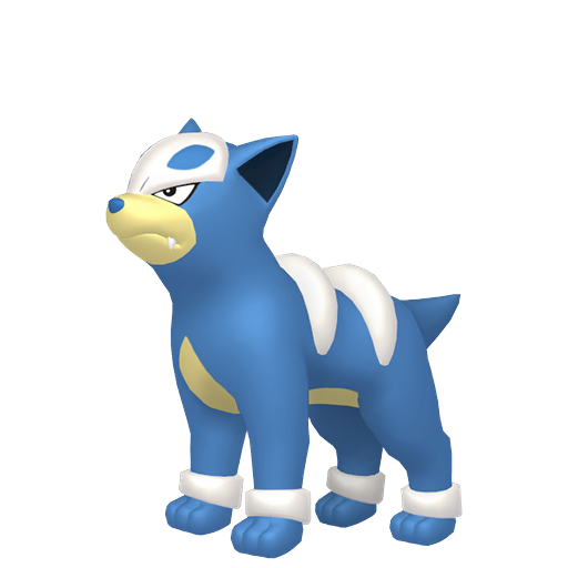 #091 Houndour