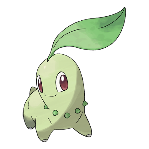 6IV Shiny Chikorita